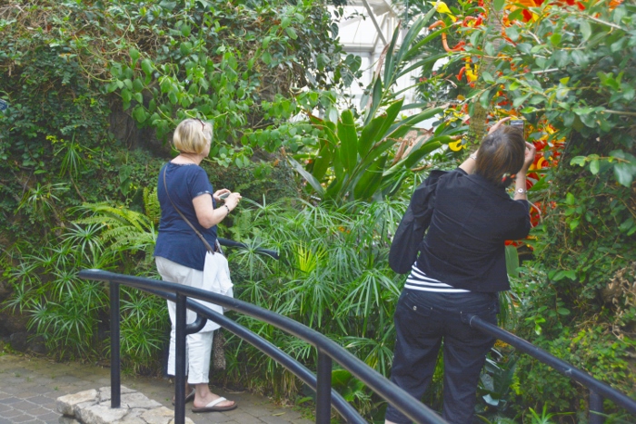 Sue and Ann taking pictures